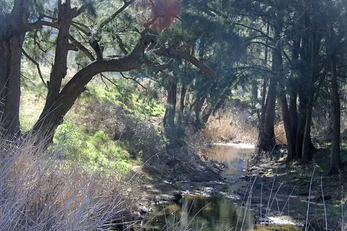 glen-davis-park-campground-glen-davis-oullj