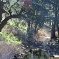 glen-davis-park-campground-glen-davis-oullj