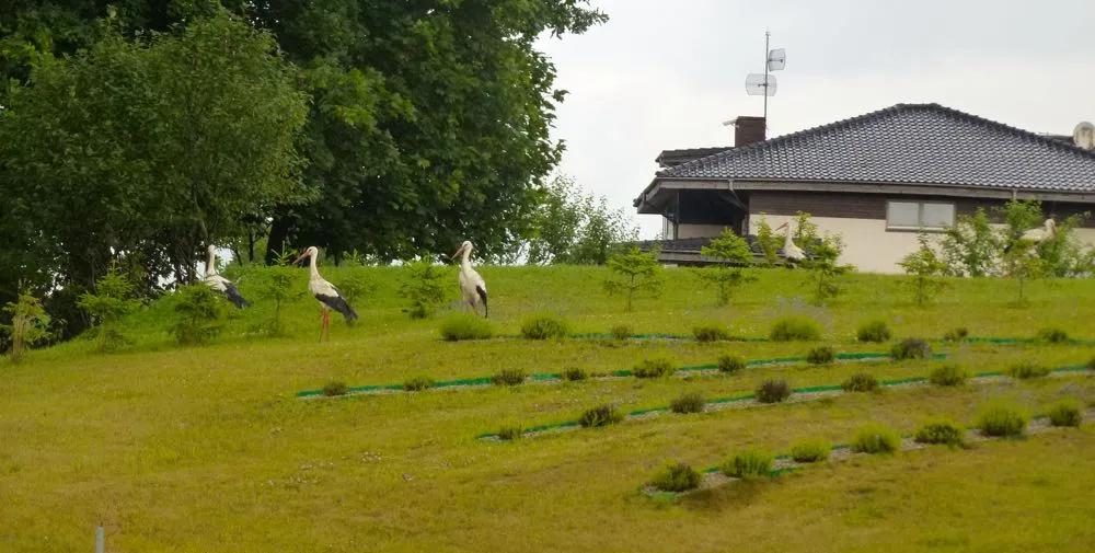 camping-lavender-village-kiemeliai-5j3mf