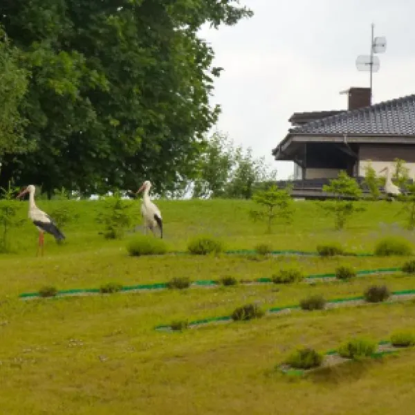 camping-lavender-village-kiemeliai-5j3mf