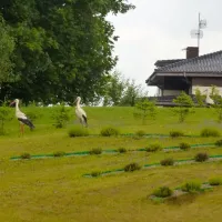 Camping Lavender Village