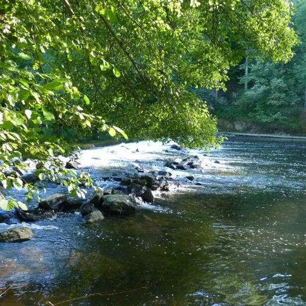 camping-les-chambons-argenton-sur-creuse-irmzw