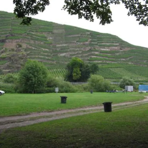 camping-insel-ziehfurt-winningen-gmzhd