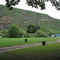 camping-insel-ziehfurt-winningen-gmzhd