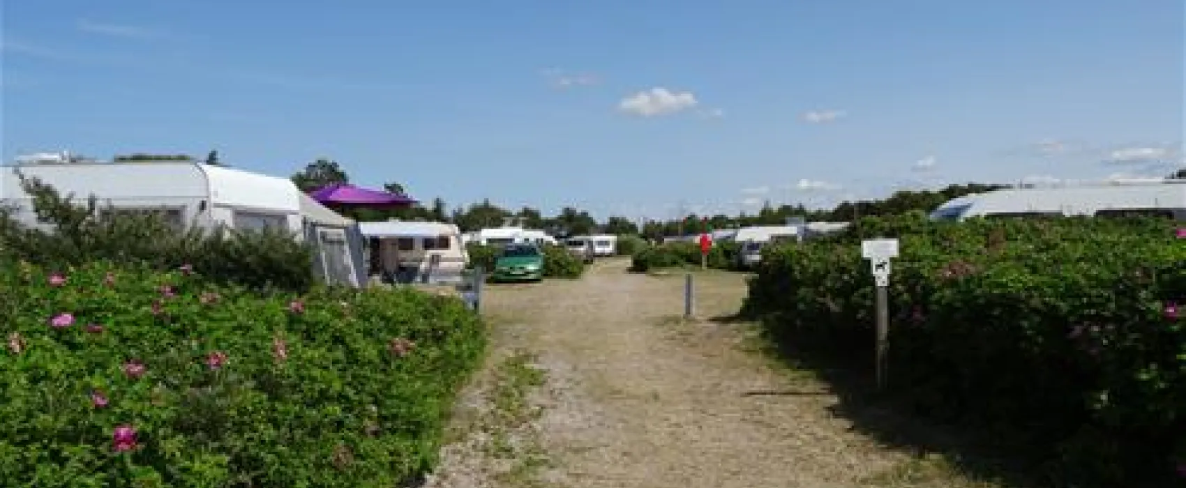 Bjerge Sydstrand Camping