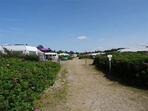 bjerge-sydstrand-camping-st-fuglede-0pt4d