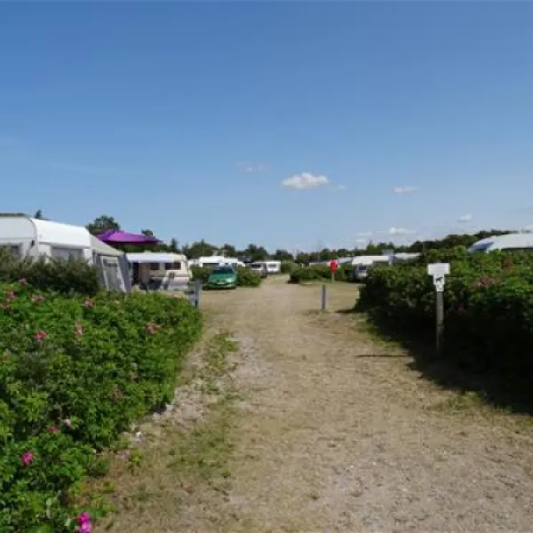 bjerge-sydstrand-camping-st-fuglede-0pt4d