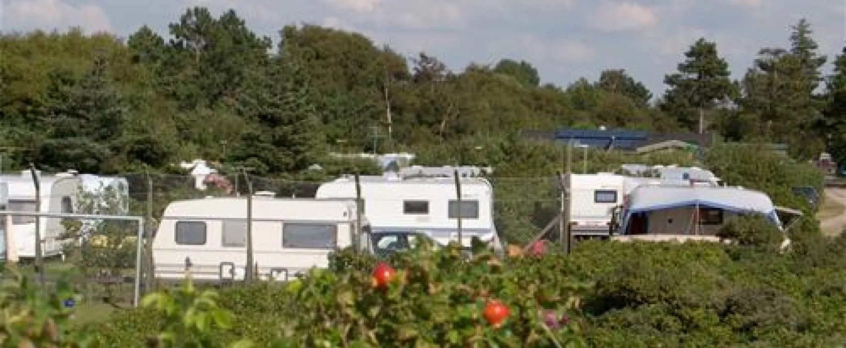 Bjerge Sydstrand Camping