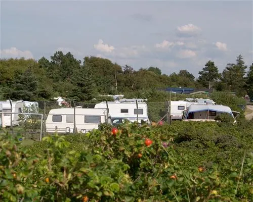 bjerge-sydstrand-camping-st-fuglede-wf0be