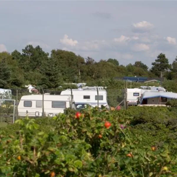 bjerge-sydstrand-camping-st-fuglede-wf0be