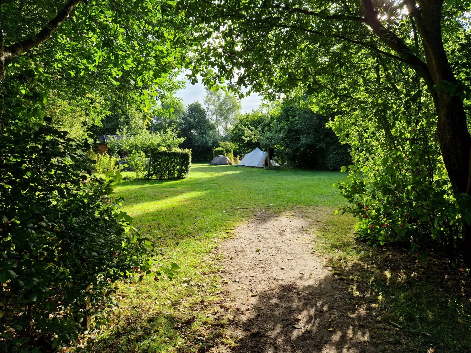 natuurkampeerterrein-thyencamp-hooghalen-1bjnz