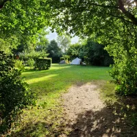 natuurkampeerterrein-thyencamp-hooghalen-1bjnz