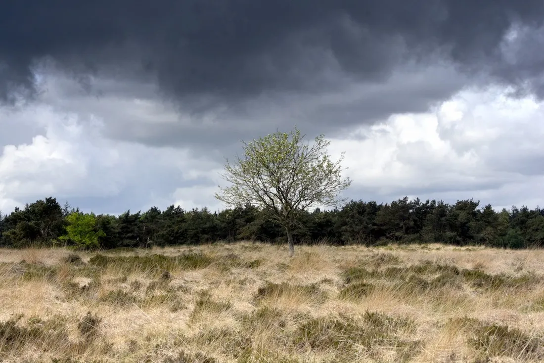 natuurkampeerterrein-thyencamp-hooghalen-bmszk