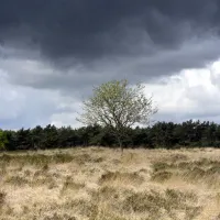 natuurkampeerterrein-thyencamp-hooghalen-bmszk