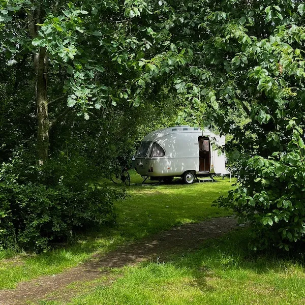 natuurkampeerterrein-thyencamp-hooghalen-o2xsy