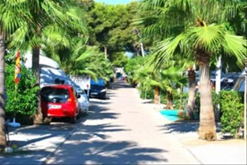 camping-torre-la-sal-2-ribera-de-cabanes-30gkj