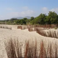 camping-torre-la-sal-2-ribera-de-cabanes-5tvga