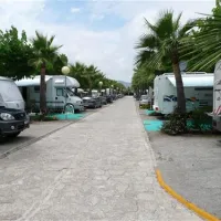 camping-torre-la-sal-2-ribera-de-cabanes-8ssoz