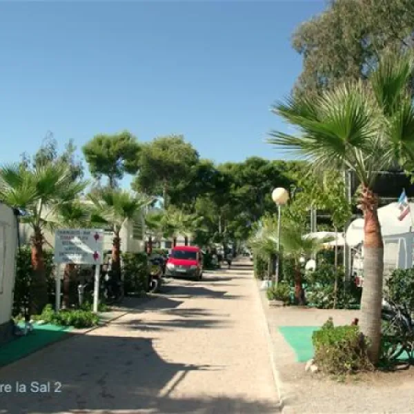 camping-torre-la-sal-2-ribera-de-cabanes-a9hmj