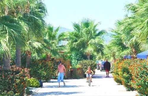 camping-torre-la-sal-2-ribera-de-cabanes-ghsns