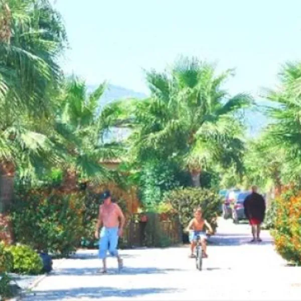 camping-torre-la-sal-2-ribera-de-cabanes-ghsns