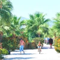 camping-torre-la-sal-2-ribera-de-cabanes-ghsns