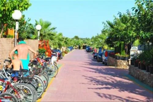 camping-torre-la-sal-2-ribera-de-cabanes-jxfz7