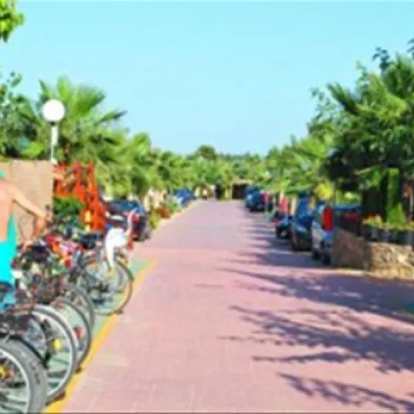 camping-torre-la-sal-2-ribera-de-cabanes-jxfz7