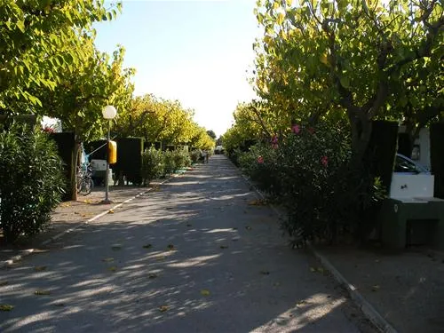 camping-torre-la-sal-2-ribera-de-cabanes-t3urw
