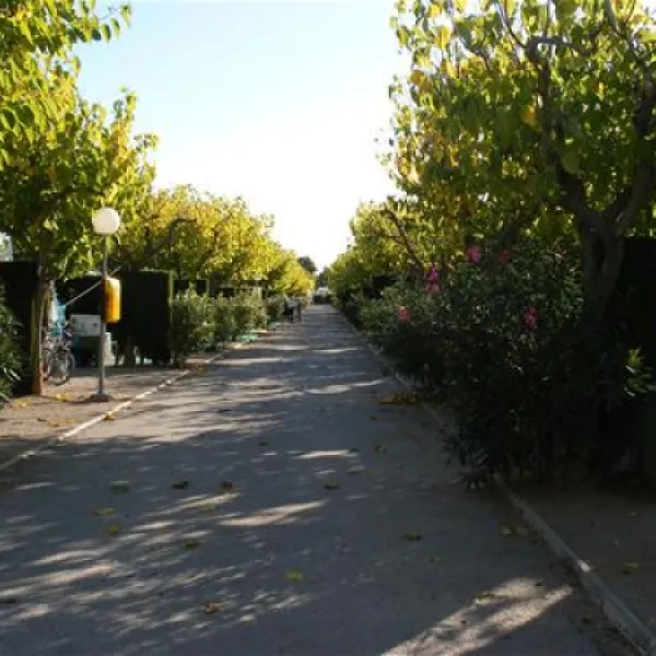 camping-torre-la-sal-2-ribera-de-cabanes-t3urw