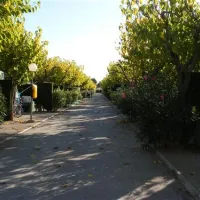 camping-torre-la-sal-2-ribera-de-cabanes-t3urw