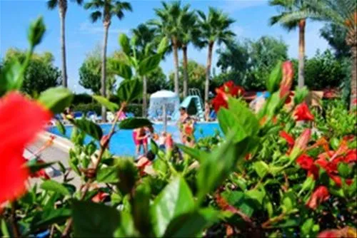 camping-torre-la-sal-2-ribera-de-cabanes-vs2o0