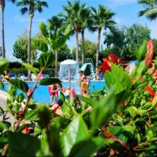 camping-torre-la-sal-2-ribera-de-cabanes-vs2o0