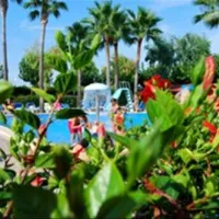 camping-torre-la-sal-2-ribera-de-cabanes-vs2o0