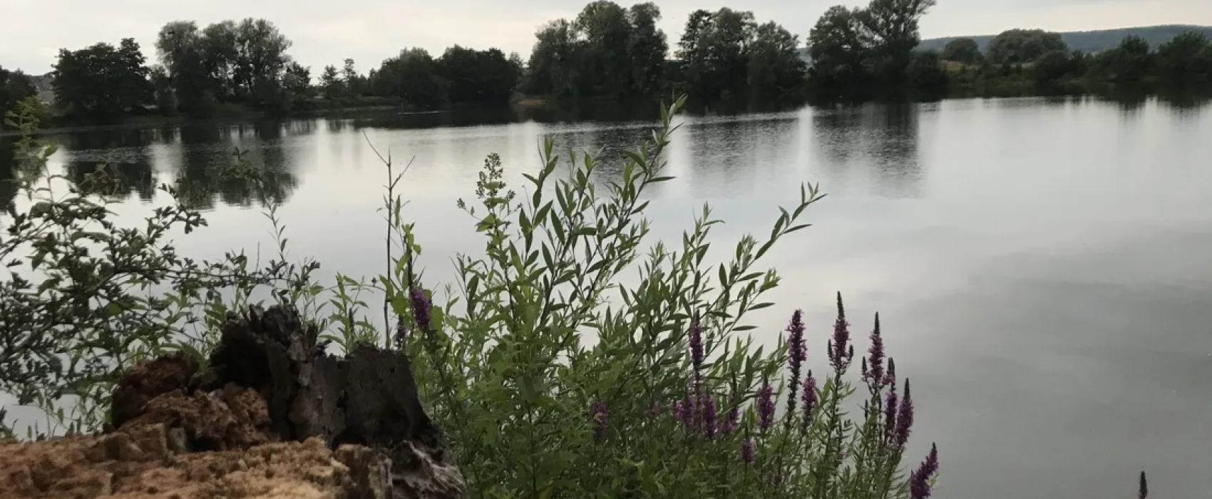 Camping Le Lac
