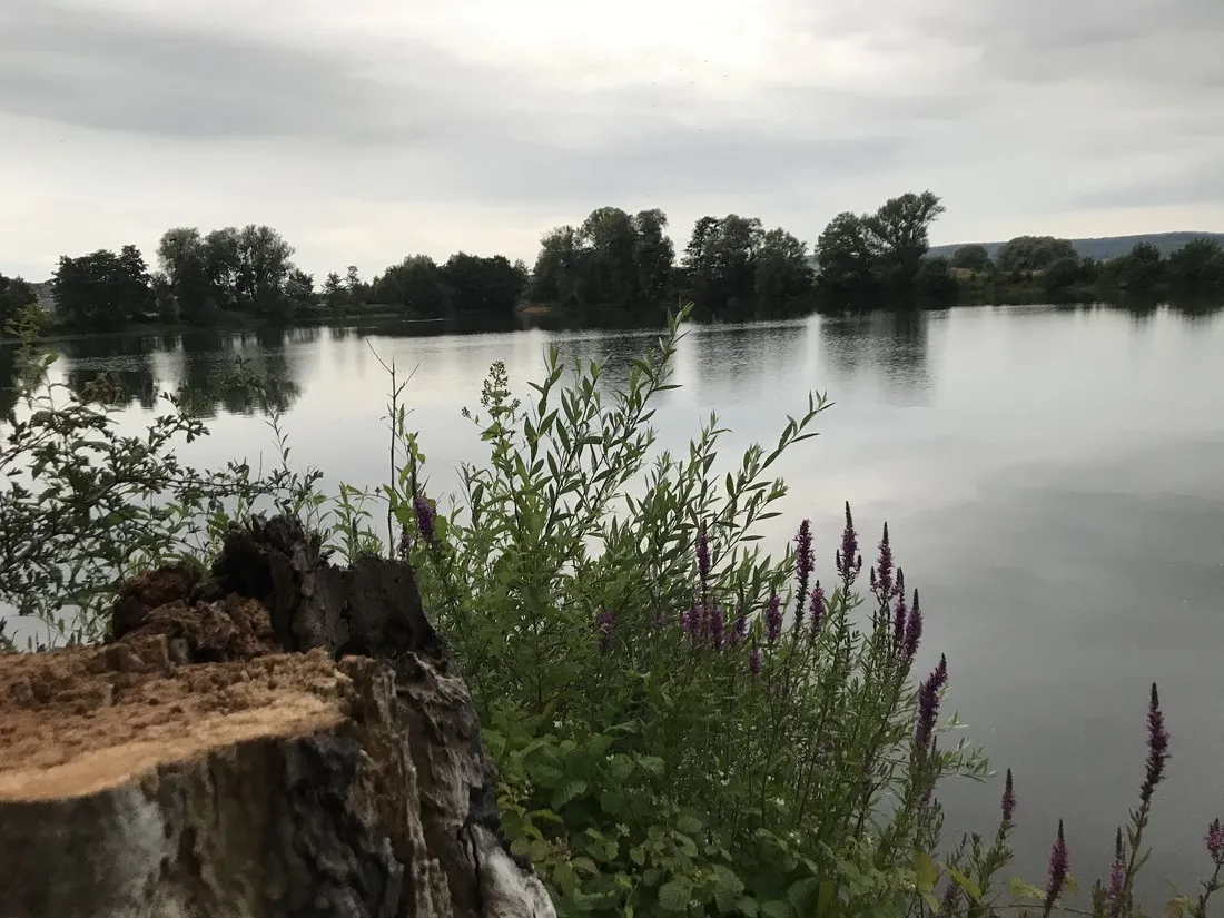 camping-le-lac-douzy-n8zin