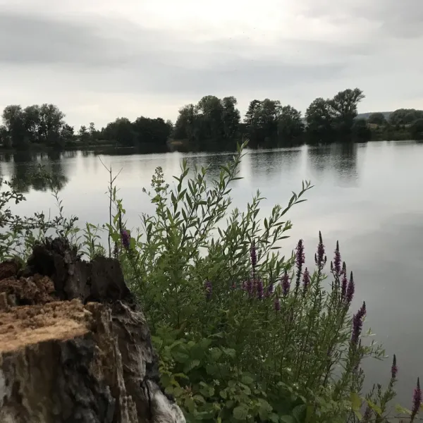 camping-le-lac-douzy-n8zin