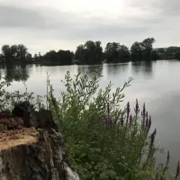 camping-le-lac-douzy-n8zin