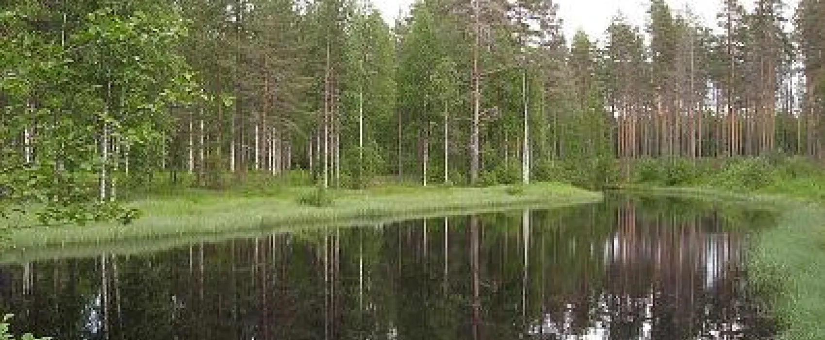 Camping Ruunaan Matkailu
