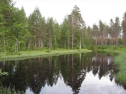 camping-ruunaan-matkailu-pankakoski-0xphv
