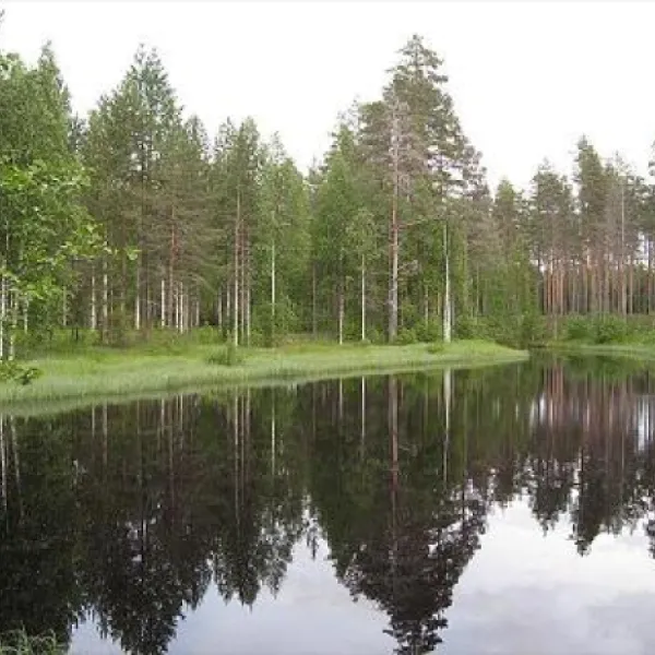 camping-ruunaan-matkailu-pankakoski-0xphv