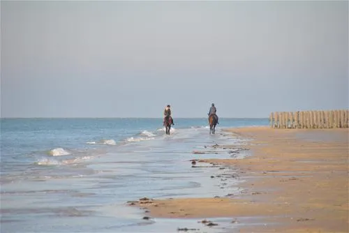 vakantiepark-schouwen-renesse-evufs