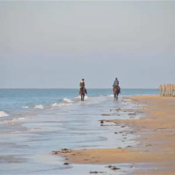 vakantiepark-schouwen-renesse-evufs