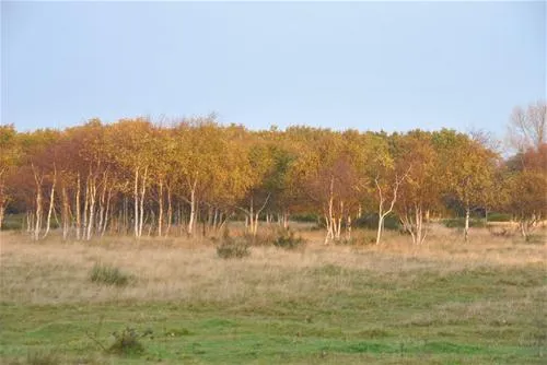 vakantiepark-schouwen-renesse-tdrqn