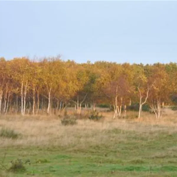 vakantiepark-schouwen-renesse-tdrqn