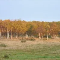 vakantiepark-schouwen-renesse-tdrqn