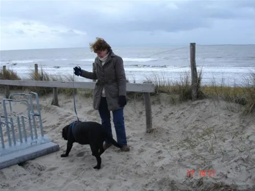 camping-tempelhof-callantsoog-gwcmv