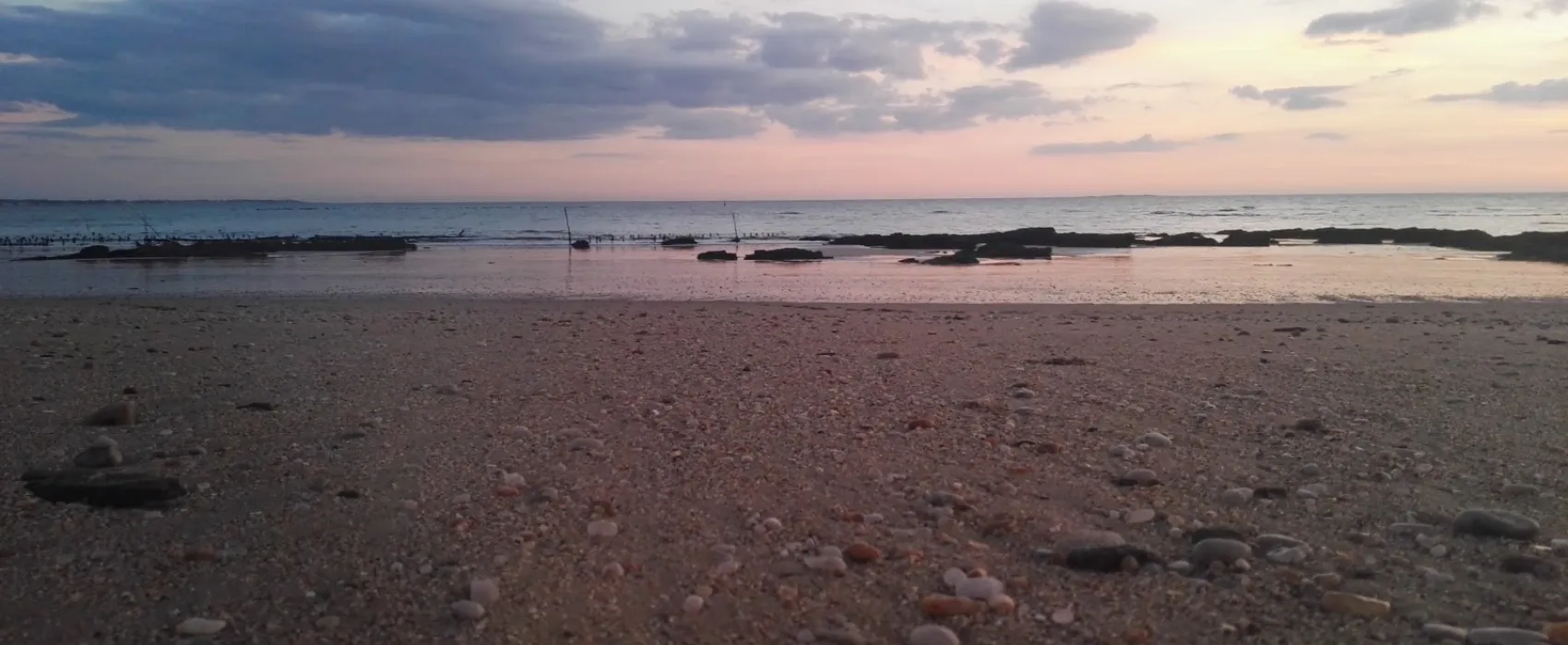 Camping Loscolo