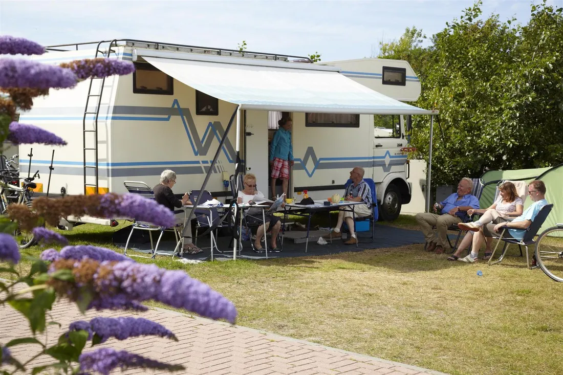 texelcamping-de-shelter-texel-de-koog-ivy6u