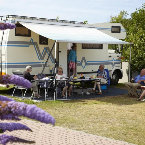texelcamping-de-shelter-texel-de-koog-ivy6u